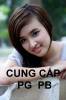 cung cap pg tphcm (17) - anh 1